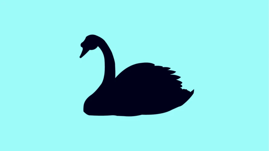 Black Swans and the Power of Decision Intelligence