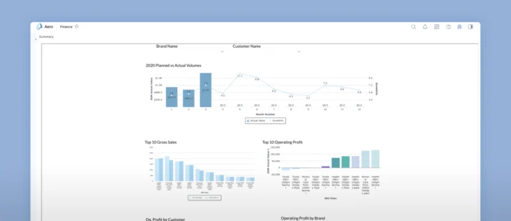 Profit and Loss Planning and Forecasting screen