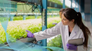 The Convergence of Sustainability and Decision Intelligence